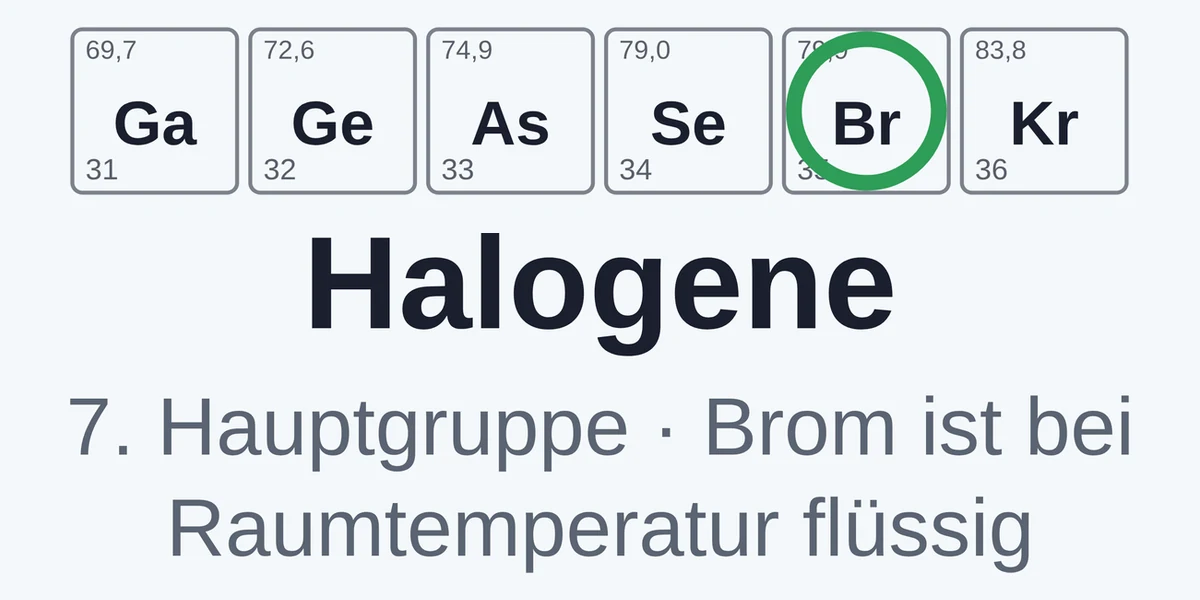 Vorschau Elemente im gekürzten PSE in Gruppen sortieren