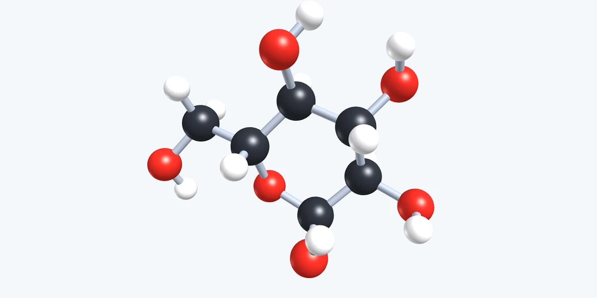 Vorschau Kohlenhydrate – Moleküle